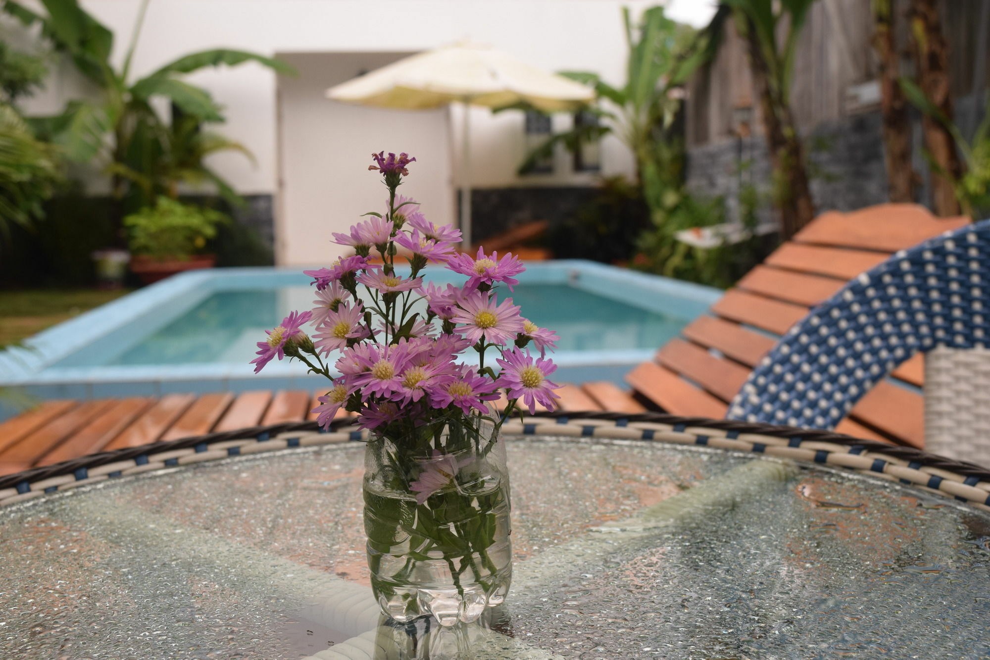 Orchid Guesthouse Phu Quoc Bagian luar foto